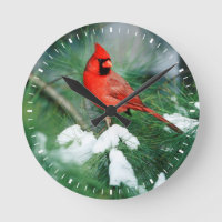 Cardenal norteño macho en árbol, IL