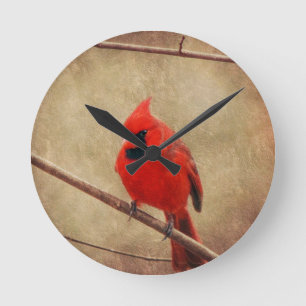 Reloj Redondo Mediano Cardinal