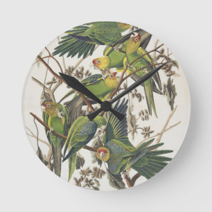 Reloj Redondo Mediano Carolina Parakeet, de 'Birds of America', 1829