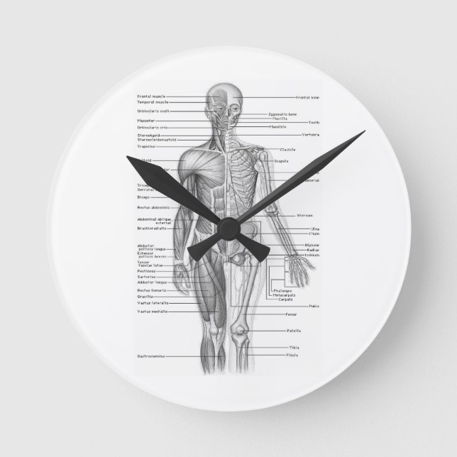 Reloj Redondo Mediano Carta humana de la anatomía (Anverso)