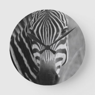 Reloj Redondo Mediano Cebra Safari Bonito Africano Clásico Rayas