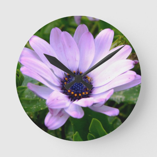 Reloj Redondo Mediano Centro de arañas (Anverso)