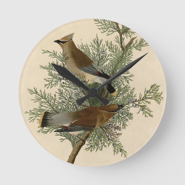 Reloj Redondo Mediano Cera Amarilla de Audubon (Anverso)