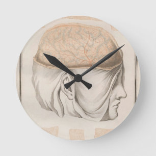 Reloj Redondo Mediano Cerebro uno - Neuroanatomía