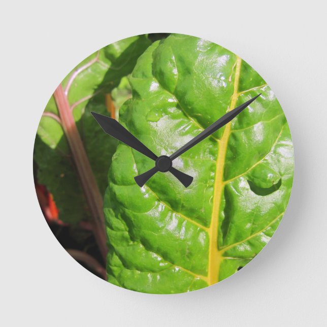 Reloj Redondo Mediano Chards suizos (Anverso)