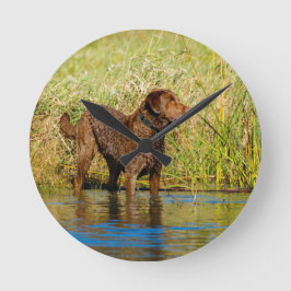Reloj Redondo Mediano Chesapeake Bay Retriever Hunting Dog Wall Clock