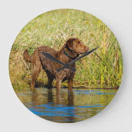 Reloj Redondo Mediano Chesapeake Bay Retriever Hunting Dog Wall Clock