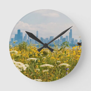 Reloj Redondo Mediano Chicago según lo visto del pájaro del puerto de