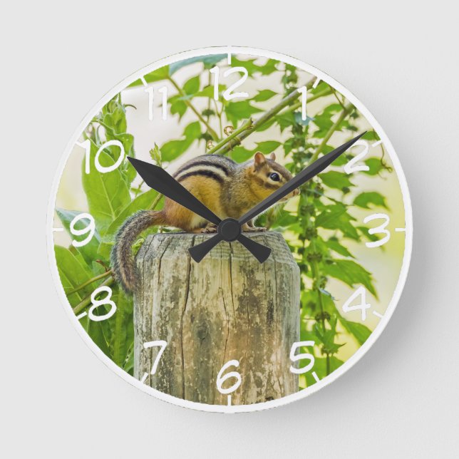 Reloj Redondo Mediano Chipmunk en un post sobre la cerca (Anverso)