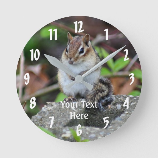 Reloj Redondo Mediano Chipmunk Sitting Animal (Anverso)