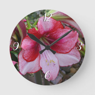 Reloj Redondo Mediano Christmas Amaryllis Red Holiday Floral