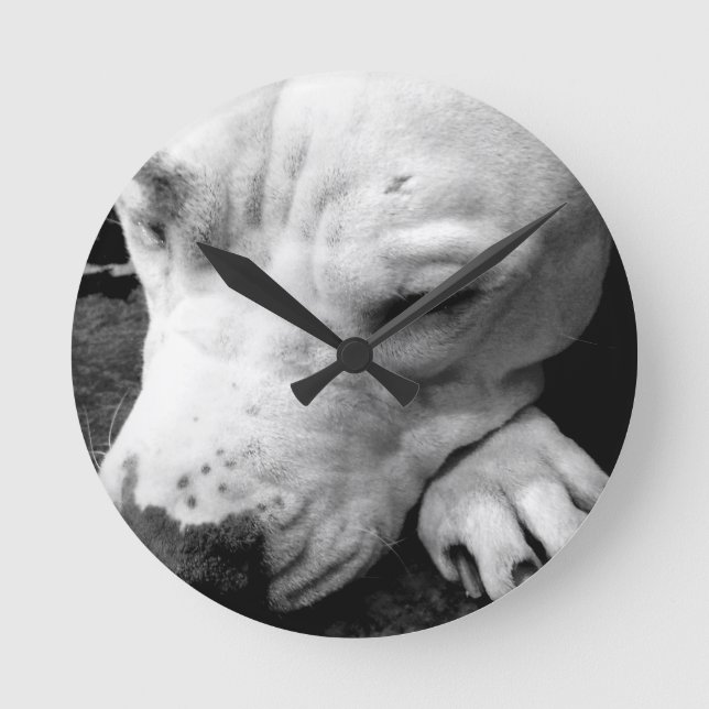 Reloj Redondo Mediano cicatriz de harry potter perro pit bull blanco (Anverso)