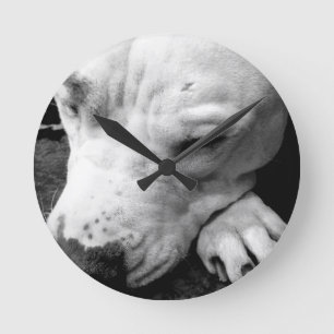 Reloj Redondo Mediano cicatriz de harry potter perro pit bull blanco