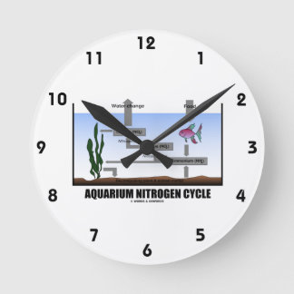 Reloj Redondo Mediano Ciclo de Nitrógeno Acuario (Ecología)