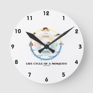 Reloj Redondo Mediano Ciclo De Vida De Un Mosquito (Egg Larva Pupa Imago