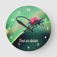 Cierre personalizado de insectos de escarabajo roj