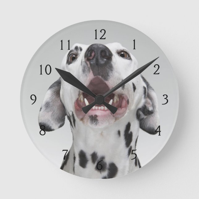 Reloj Redondo Mediano Ciérrese para arriba de un perro dálmata (Anverso)