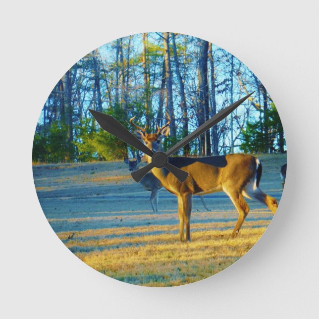 Reloj Redondo Mediano Ciervos del macho/del dólar, cielo azul brillante (Anverso)
