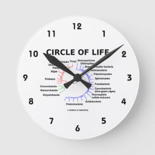 Reloj Redondo Mediano Círculo de la vida (árbol filogenético circular