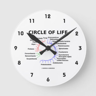 Reloj Redondo Mediano Círculo De Vida (Árbol Fitogenético Circular)