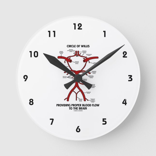 Reloj Redondo Mediano Círculo de Willis que proporciona el cerebro (Anverso)