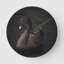 Reloj Redondo Mediano Cisne negro