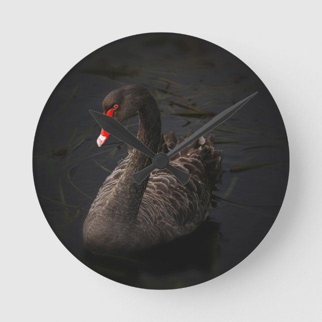 Reloj Redondo Mediano Cisne negro (Anverso)