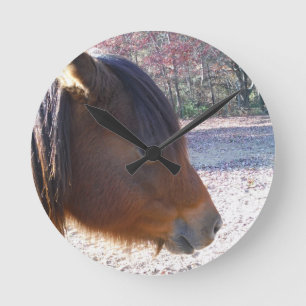 Reloj Redondo Mediano Close up of Brown horse, Little Brown Pony