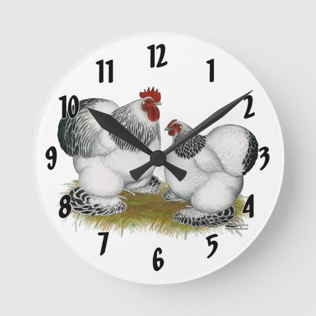 Reloj Redondo Mediano Cochin Columbian Bantams (Anverso)