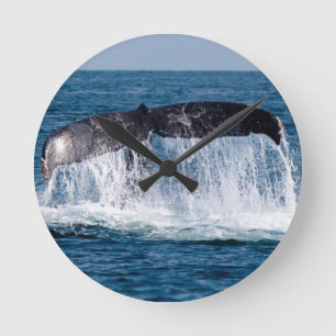 Reloj Redondo Mediano Cola de la ballena