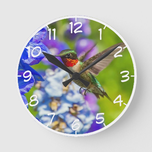 Reloj Redondo Mediano Colibrí Y Delfino (Anverso)