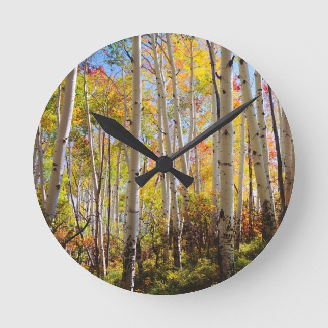 Reloj Redondo Mediano Colores otoñales 5 (Anverso)