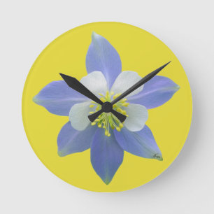 Reloj Redondo Mediano Columbina 2