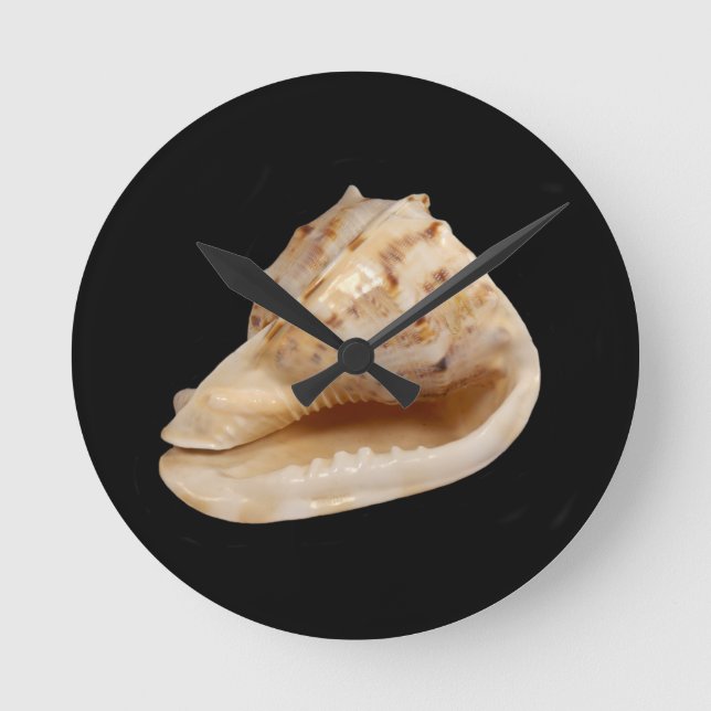 Reloj Redondo Mediano Conch Shell Wall Clock (Anverso)