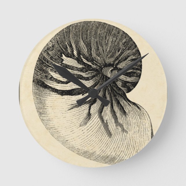 Reloj Redondo Mediano Concha blanca y negra vintada (Anverso)