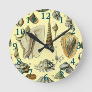 Reloj Redondo Mediano Concha de mar Molusco Almeja Elegante Arte Clásico