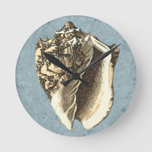 Reloj Redondo Mediano Concha encallada