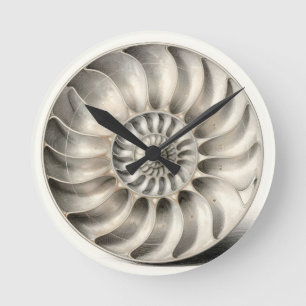 Reloj Redondo Mediano Concha Espiral Geométrica Nautilus Metálico