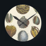 Reloj Redondo Mediano Conchology Collection<br><div class="desc">If you can't get to the beach today, get this classic style image of this unique image of sea life by Albertus Seba! Imagine yourself on a beach discovering Sea anemones that nature has to offer. These seashells and sea plants by the ocean is surrounded by warm sand in this...</div>