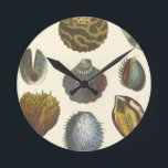 Reloj Redondo Mediano Conchology Collection<br><div class="desc">If you can't get to the beach today, get this classic style image of this unique image of sea life by Albertus Seba! Imagine yourself on a beach discovering Sea anemones that nature has to offer. These seashells and sea plants by the ocean is surrounded by warm sand in this...</div>