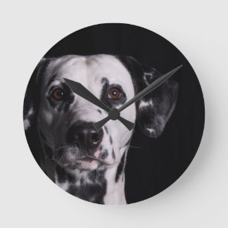 Reloj Redondo Mediano Concurso fotográfico GWDC Dalmatian