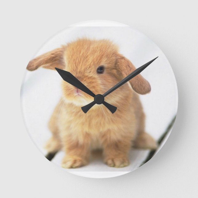 Reloj Redondo Mediano Conejo de conejito (Anverso)