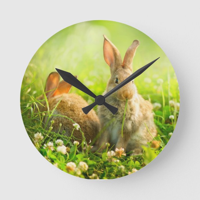 Reloj Redondo Mediano Conejos de Pascua (Anverso)