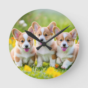 Reloj Redondo Mediano Corgies jugando en la hierba