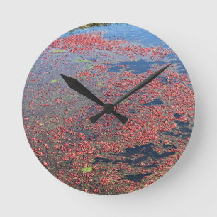 Reloj Redondo Mediano Cranberry Farm, Long Beach, Washington