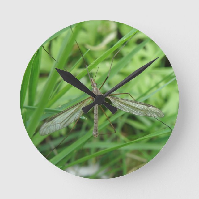 Reloj Redondo Mediano Crane Fly Wall Clock (Anverso)