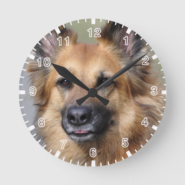 Reloj Redondo Mediano Crea tu propia foto de mascota (Anverso)