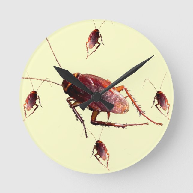 Reloj Redondo Mediano Crunchy Cockroach (Anverso)