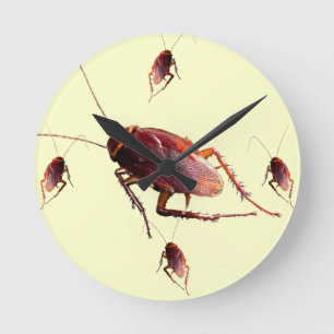 Reloj Redondo Mediano Crunchy Cockroach