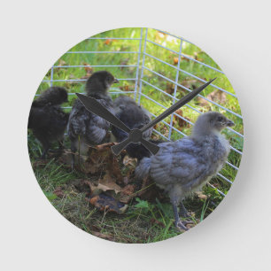 Reloj Redondo Mediano Cuál está para arriba - extremo del pollo